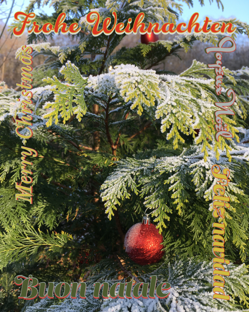 Weihnachtliches Bild mit grünen Zweigen und einer roten Christbaumkugel